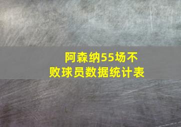 阿森纳55场不败球员数据统计表