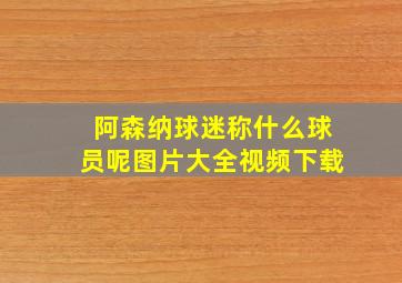 阿森纳球迷称什么球员呢图片大全视频下载