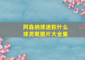 阿森纳球迷称什么球员呢图片大全集