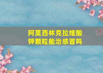 阿莫西林克拉维酸钾颗粒能治感冒吗