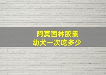 阿莫西林胶囊幼犬一次吃多少