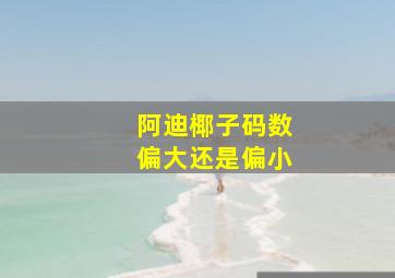 阿迪椰子码数偏大还是偏小