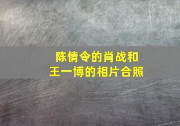 陈情令的肖战和王一博的相片合照