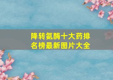 降转氨酶十大药排名榜最新图片大全