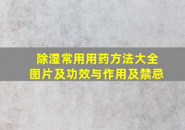 除湿常用用药方法大全图片及功效与作用及禁忌