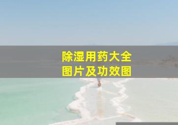 除湿用药大全图片及功效图