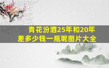 青花汾酒25年和20年差多少钱一瓶呢图片大全