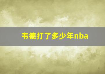 韦德打了多少年nba