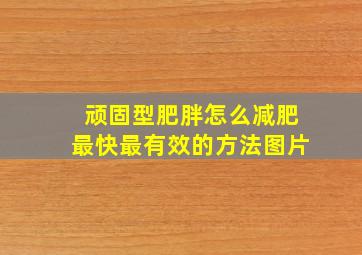 顽固型肥胖怎么减肥最快最有效的方法图片