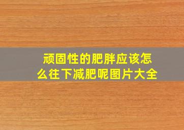 顽固性的肥胖应该怎么往下减肥呢图片大全