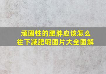 顽固性的肥胖应该怎么往下减肥呢图片大全图解