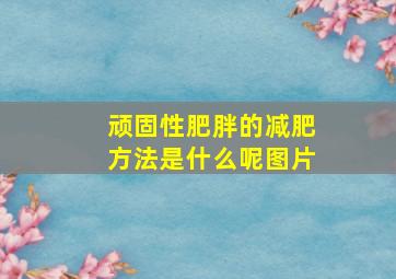 顽固性肥胖的减肥方法是什么呢图片