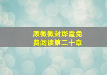 顾微微封烨霆免费阅读第二十章