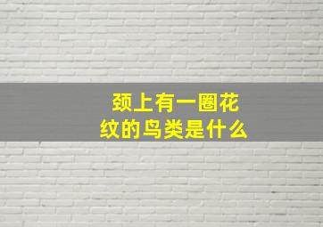 颈上有一圈花纹的鸟类是什么