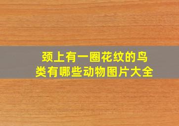 颈上有一圈花纹的鸟类有哪些动物图片大全