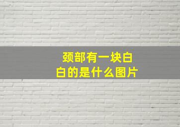 颈部有一块白白的是什么图片