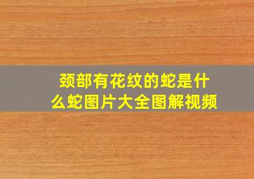 颈部有花纹的蛇是什么蛇图片大全图解视频