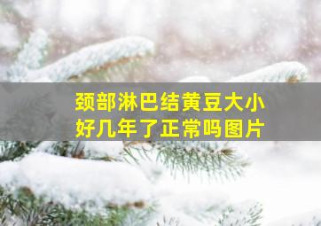 颈部淋巴结黄豆大小好几年了正常吗图片