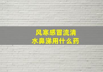 风寒感冒流清水鼻涕用什么药