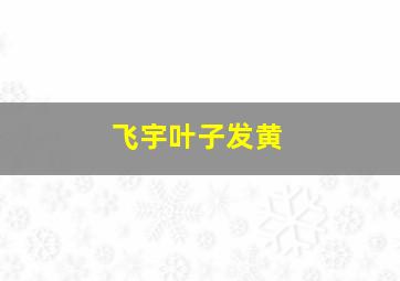 飞宇叶子发黄