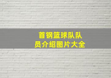 首钢篮球队队员介绍图片大全