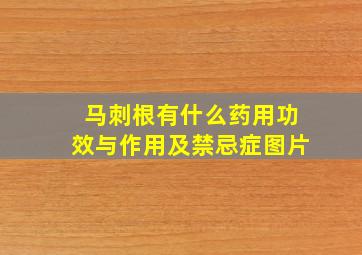 马刺根有什么药用功效与作用及禁忌症图片