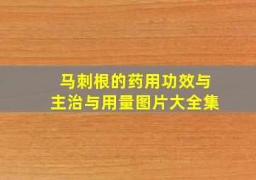 马刺根的药用功效与主治与用量图片大全集