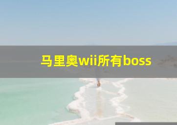 马里奥wii所有boss