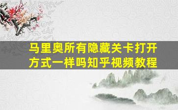 马里奥所有隐藏关卡打开方式一样吗知乎视频教程