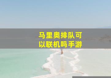 马里奥排队可以联机吗手游