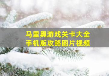 马里奥游戏关卡大全手机版攻略图片视频