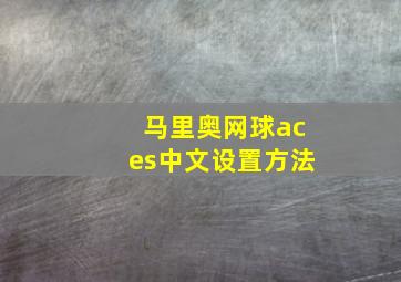 马里奥网球aces中文设置方法