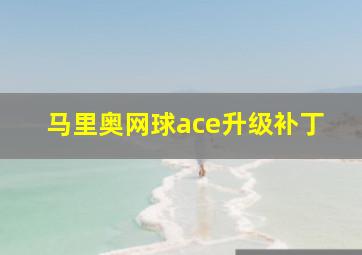 马里奥网球ace升级补丁