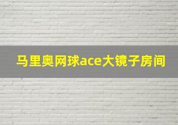 马里奥网球ace大镜子房间