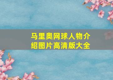 马里奥网球人物介绍图片高清版大全