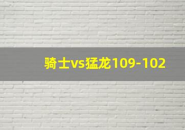 骑士vs猛龙109-102