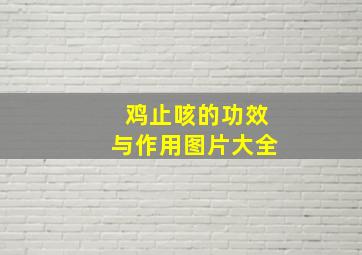 鸡止咳的功效与作用图片大全