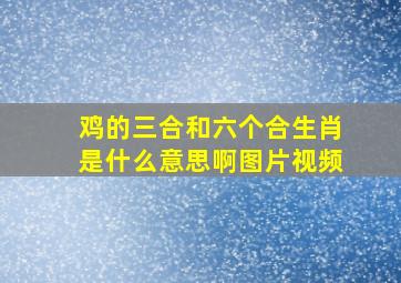 鸡的三合和六个合生肖是什么意思啊图片视频