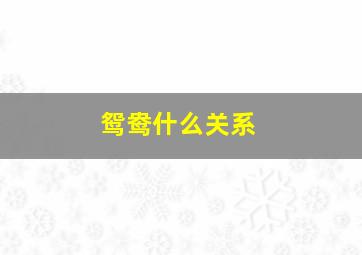 鸳鸯什么关系