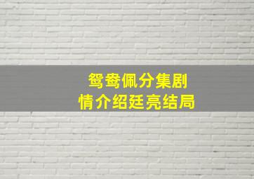 鸳鸯佩分集剧情介绍廷亮结局