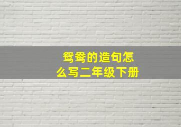 鸳鸯的造句怎么写二年级下册