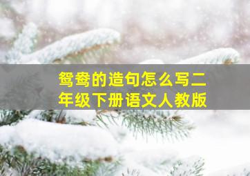 鸳鸯的造句怎么写二年级下册语文人教版