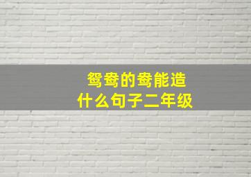 鸳鸯的鸯能造什么句子二年级