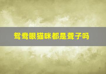 鸳鸯眼猫咪都是聋子吗