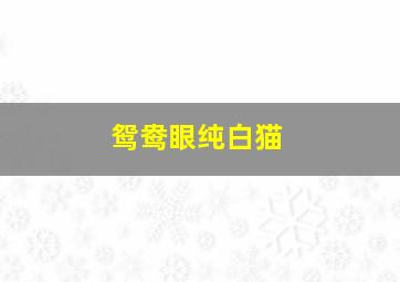 鸳鸯眼纯白猫