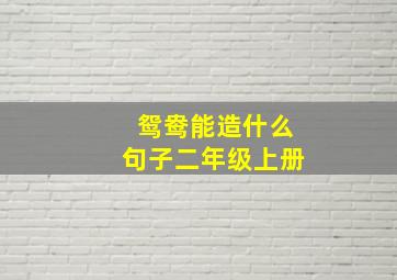 鸳鸯能造什么句子二年级上册