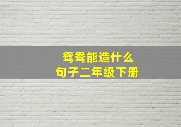 鸳鸯能造什么句子二年级下册