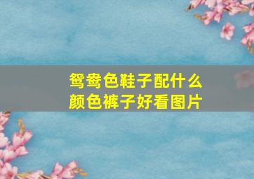 鸳鸯色鞋子配什么颜色裤子好看图片