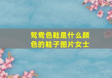 鸳鸯色鞋是什么颜色的鞋子图片女士