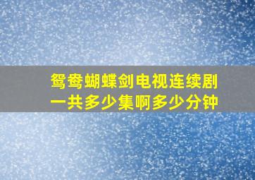 鸳鸯蝴蝶剑电视连续剧一共多少集啊多少分钟